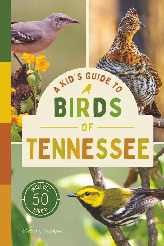 A Kid’s Guide to Birds of Tennessee