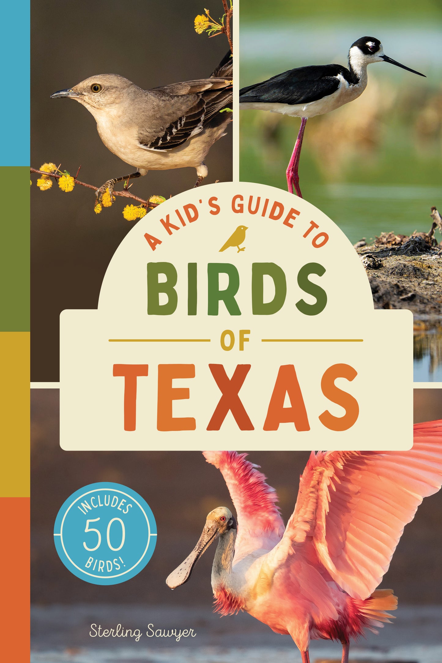 A Kid’s Guide to Birds of Texas