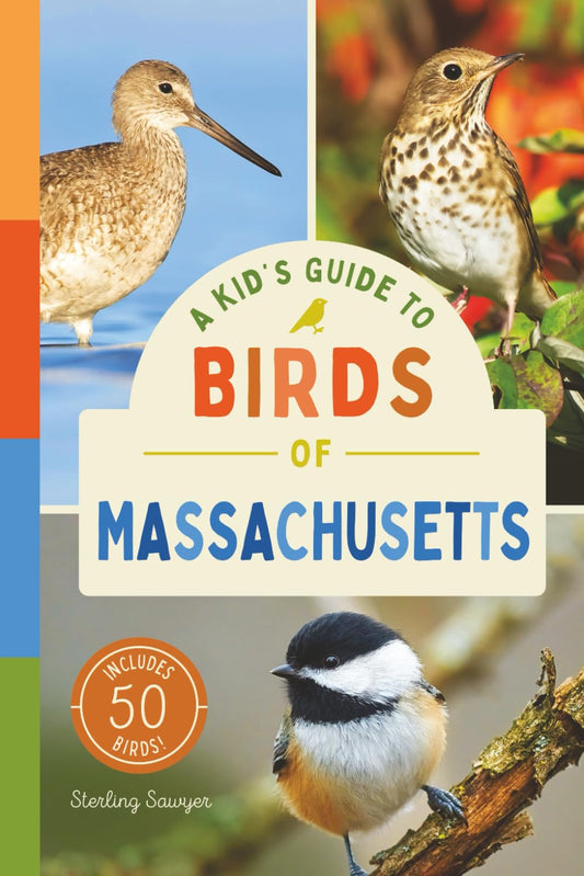 A Kid’s Guide to Birds of Massachusetts