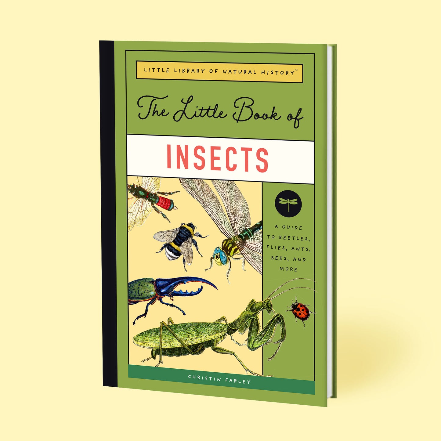 The Little Book of Insects