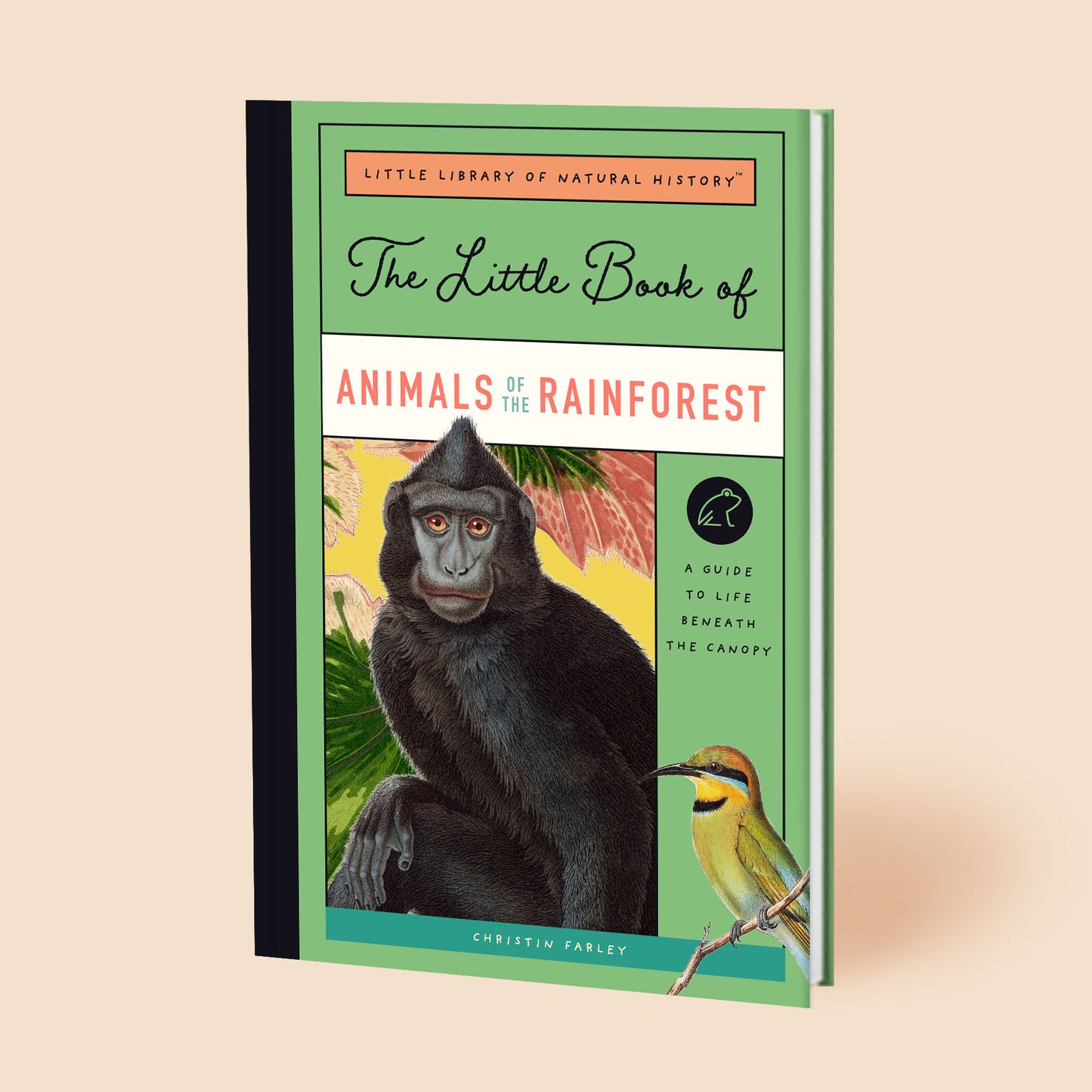 The Little Book of Animals of the Rainforest