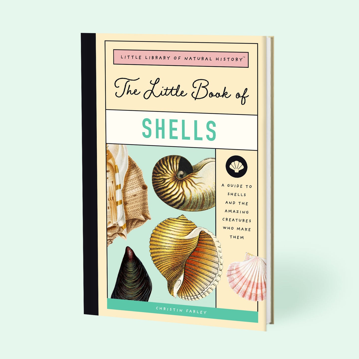 The Little Book of Shells
