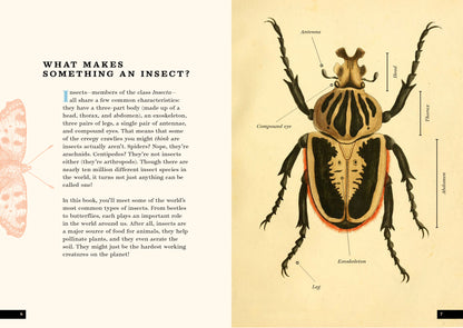 The Little Book of Insects