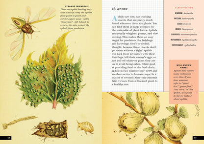 The Little Book of Insects