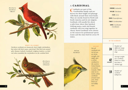 The Little Book of North American Birds