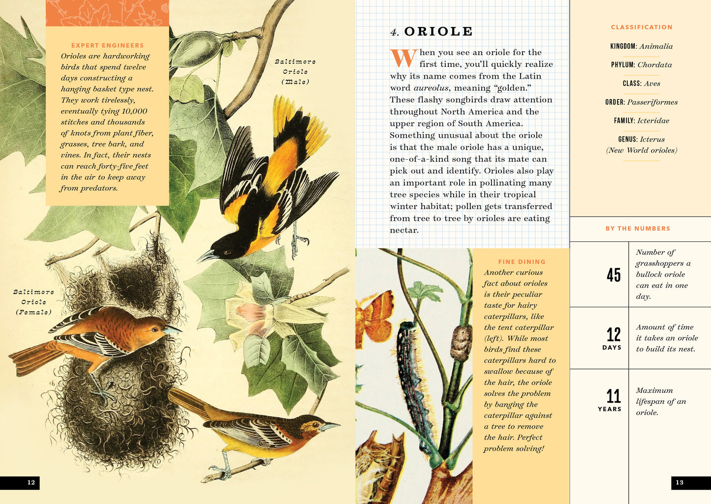 The Little Book of North American Birds