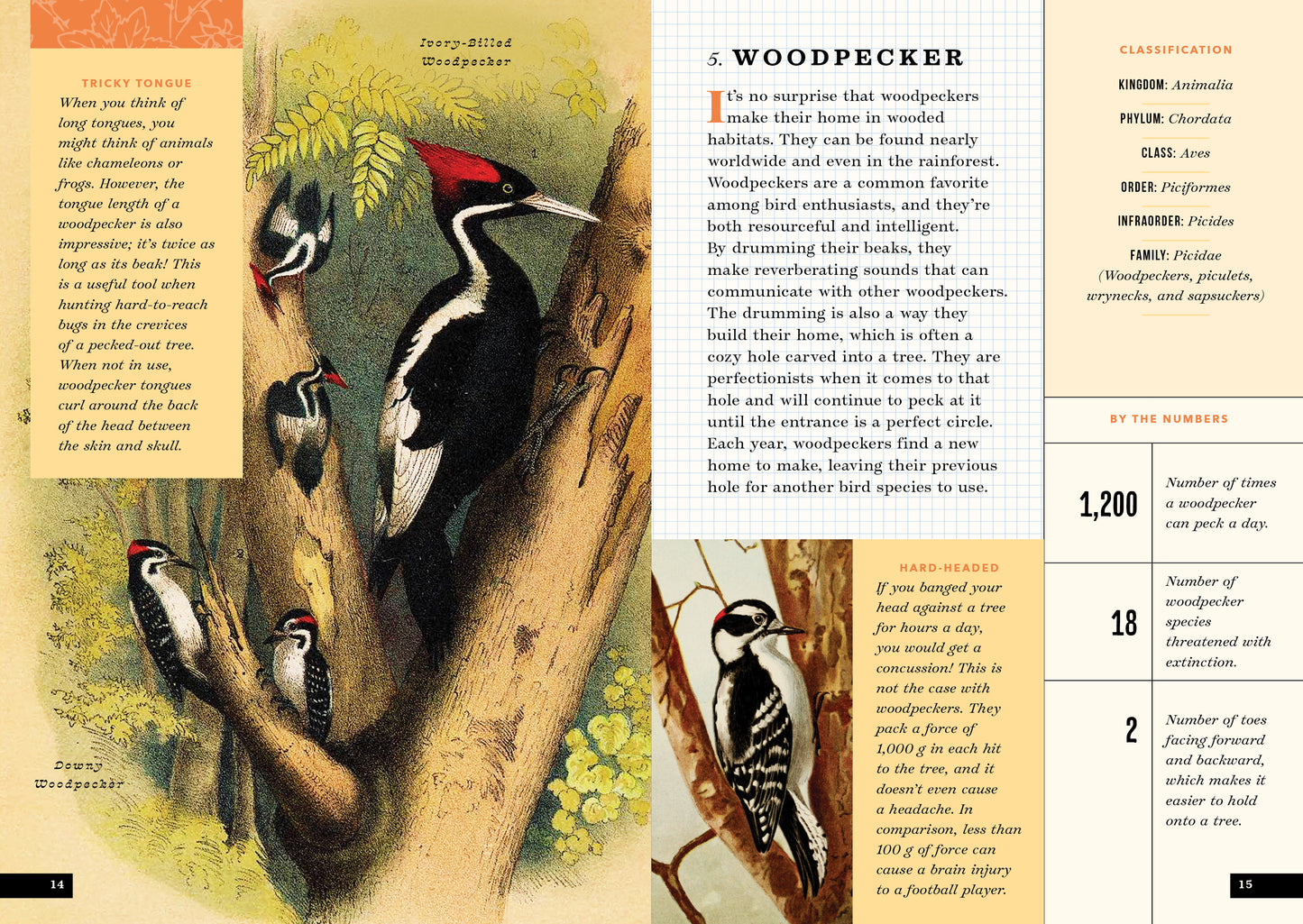 The Little Book of North American Birds