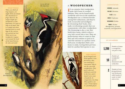 The Little Book of North American Birds