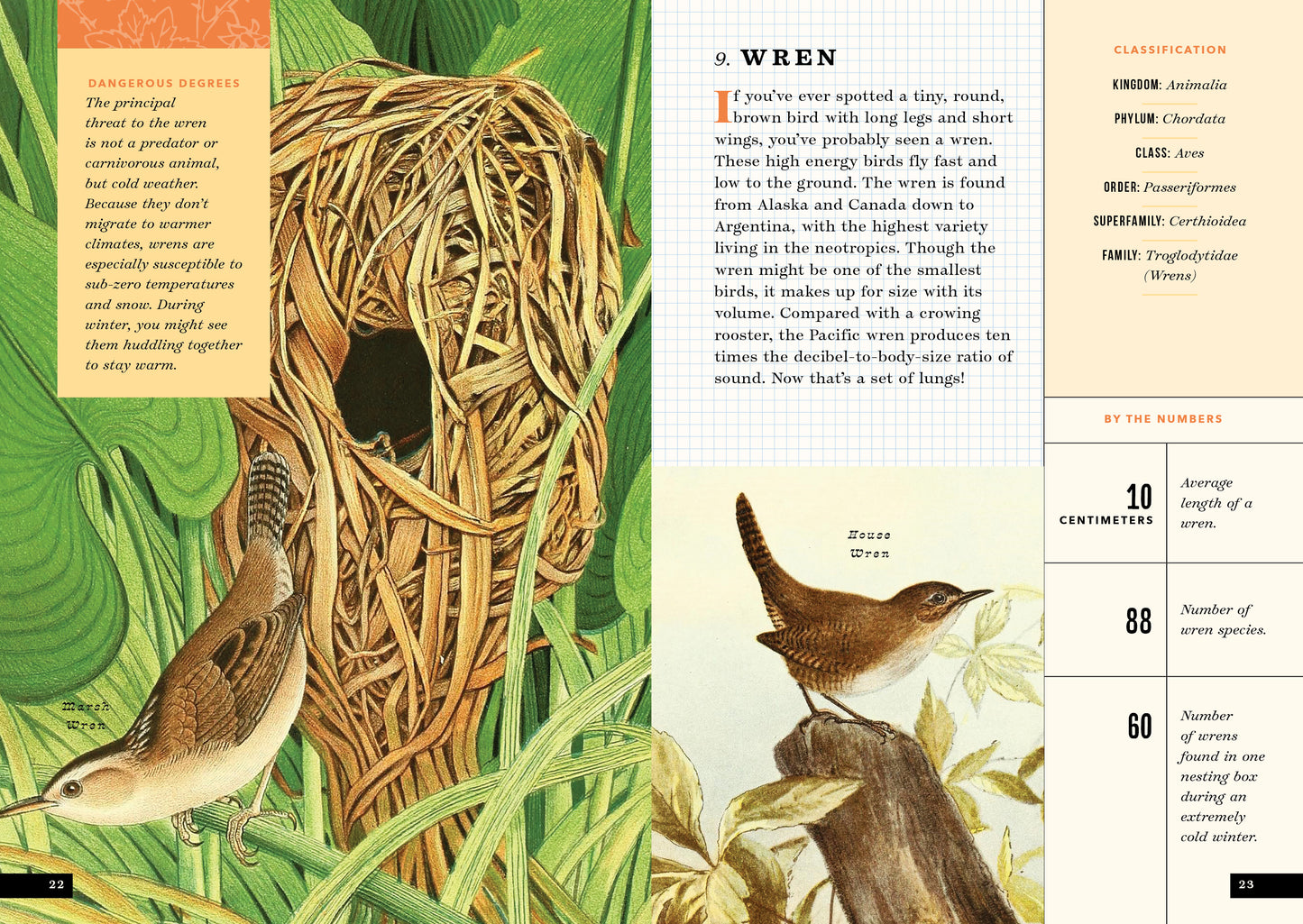 The Little Book of North American Birds