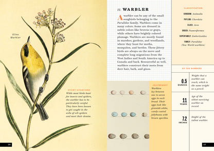 The Little Book of North American Birds