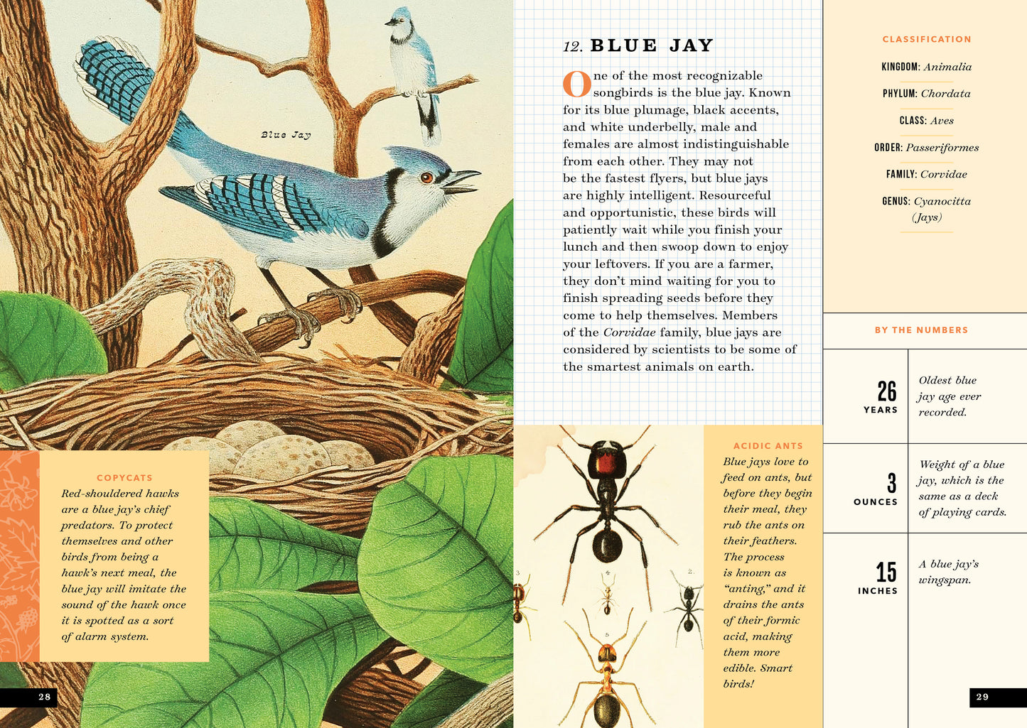 The Little Book of North American Birds