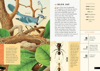 The Little Book of North American Birds