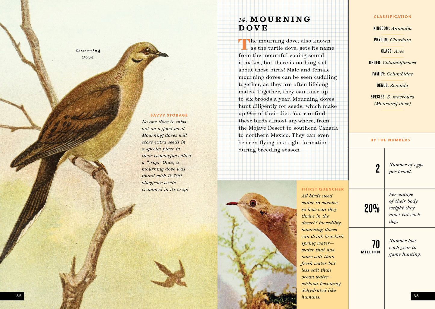 The Little Book of North American Birds