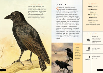 The Little Book of North American Birds