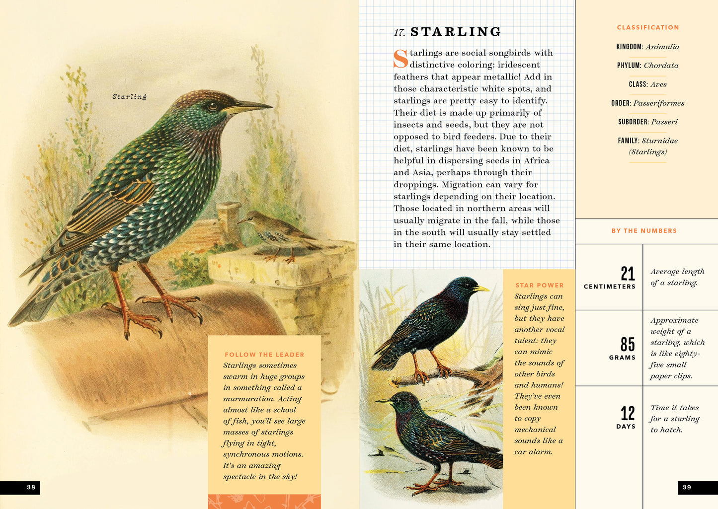 The Little Book of North American Birds