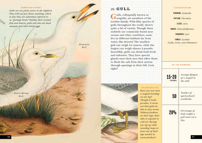 The Little Book of North American Birds