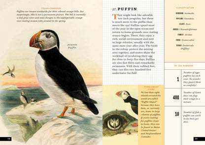The Little Book of North American Birds