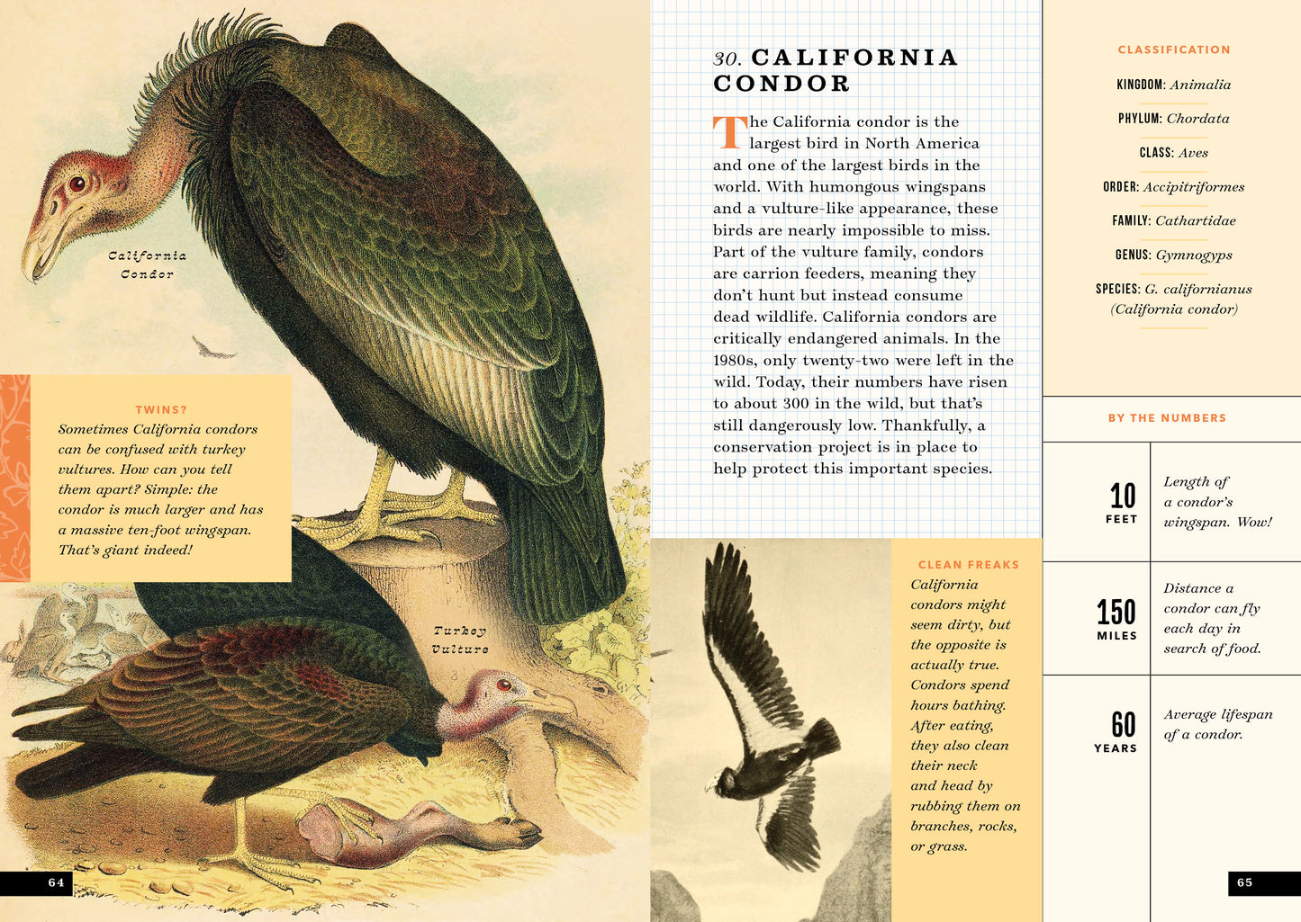 The Little Book of North American Birds