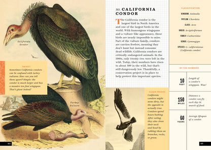The Little Book of North American Birds