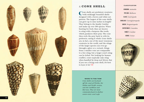 The Little Book of Shells