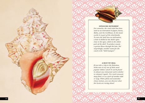 The Little Book of Shells