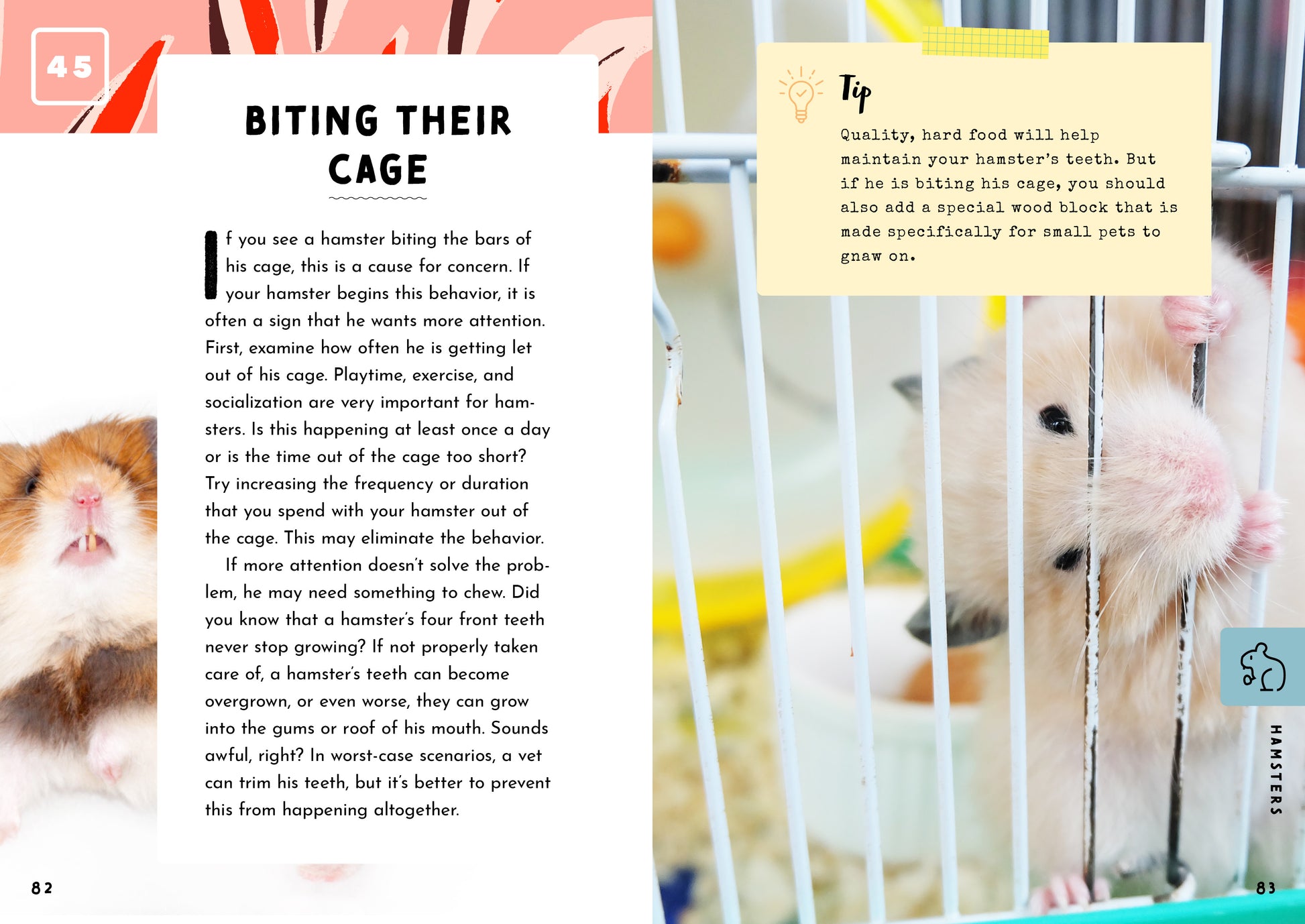 Your Hamster Hamster Keep Biting Cage Hamster Bit Why Does My