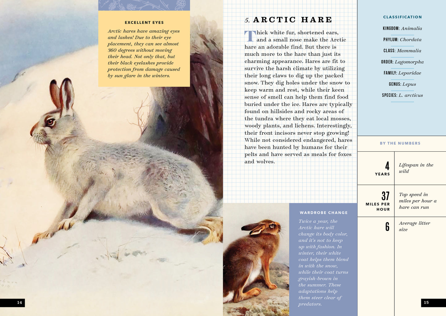 The Little Book of Arctic Animals