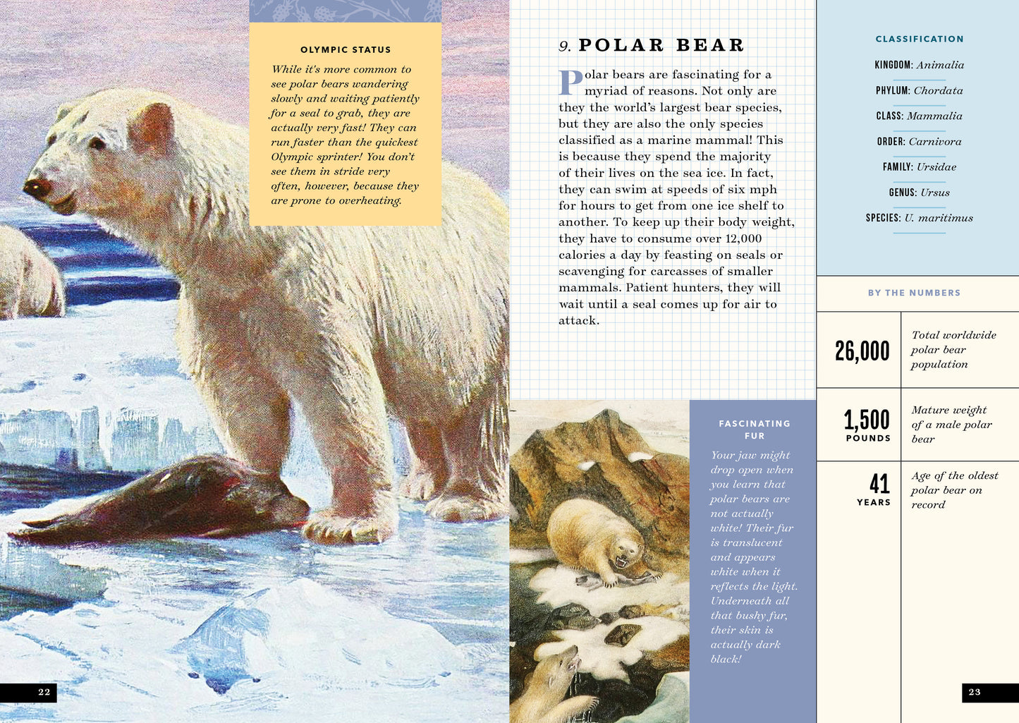 The Little Book of Arctic Animals