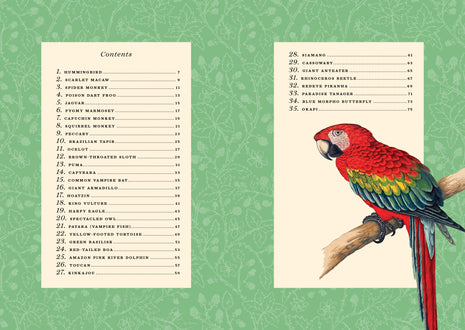 The Little Book of Animals of the Rainforest
