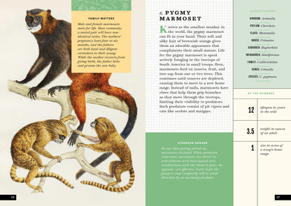 The Little Book of Animals of the Rainforest