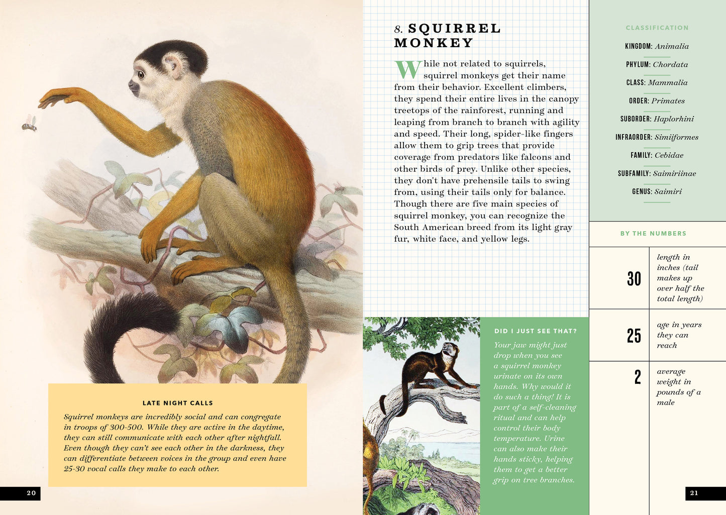 The Little Book of Animals of the Rainforest