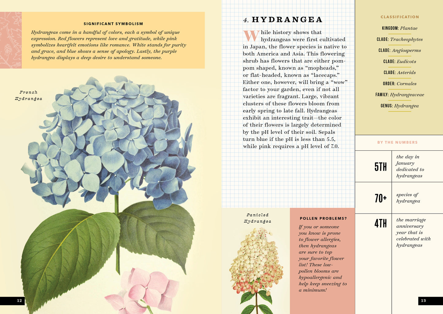 The Little Book of Flowers