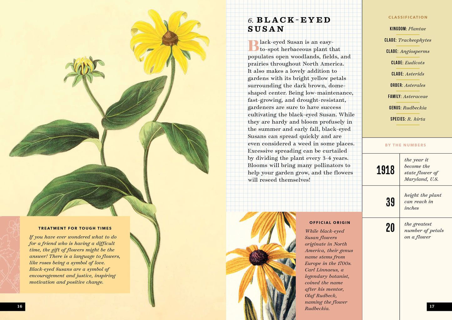 The Little Book of Flowers