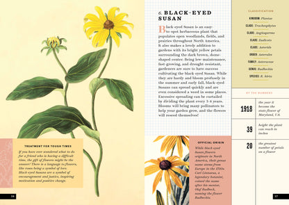 The Little Book of Flowers