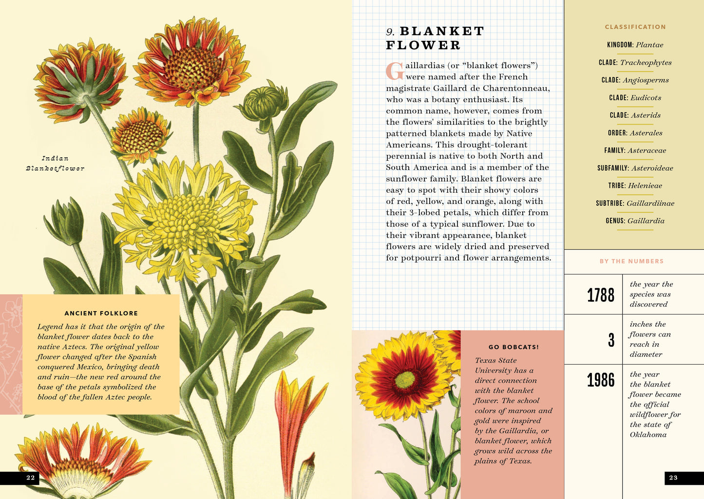 The Little Book of Flowers