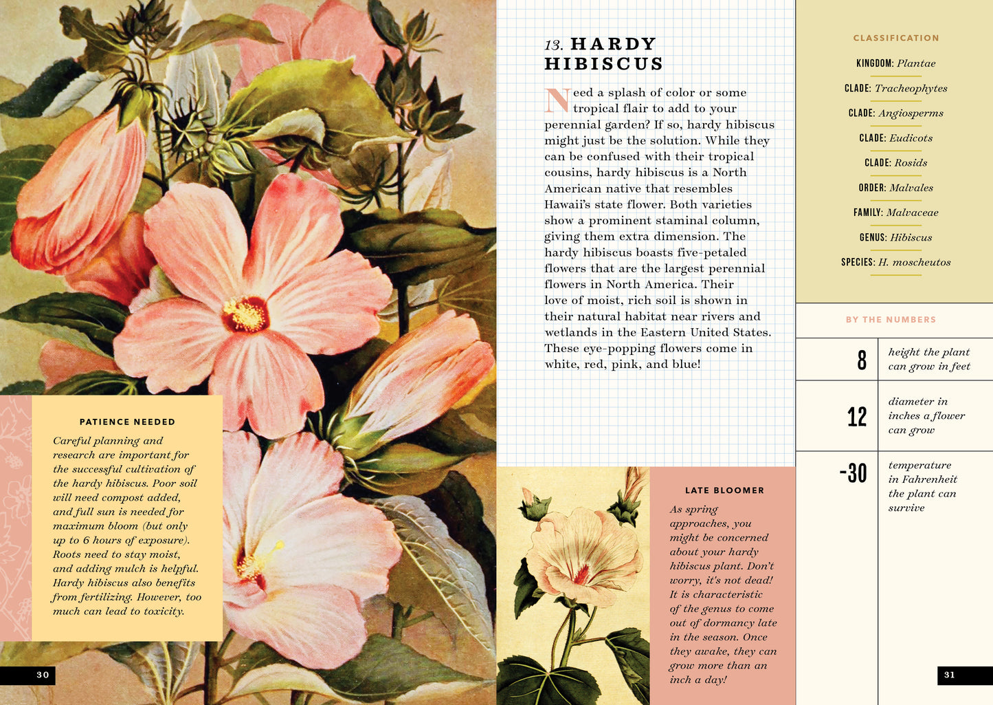 The Little Book of Flowers