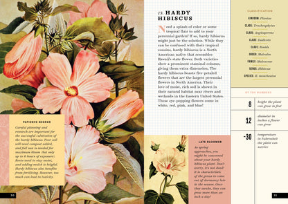 The Little Book of Flowers