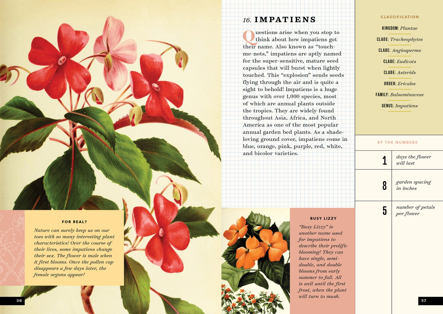 The Little Book of Flowers