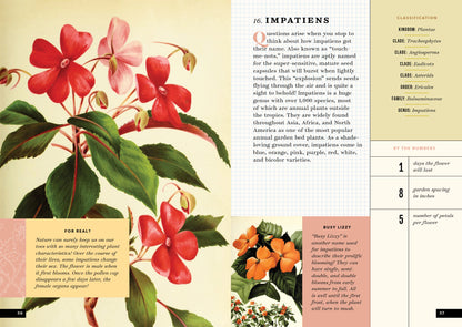 The Little Book of Flowers