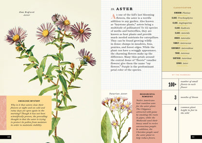 The Little Book of Flowers