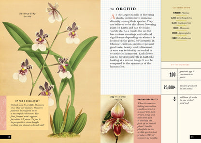 The Little Book of Flowers