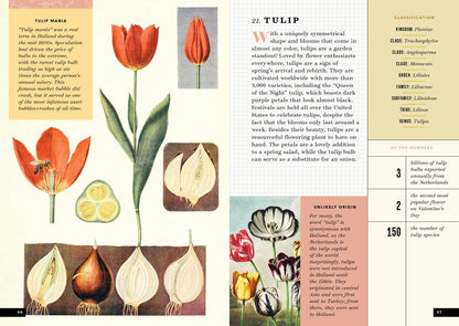 The Little Book of Flowers