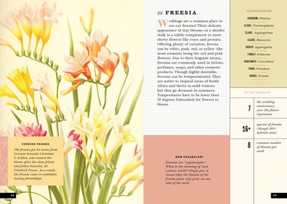 The Little Book of Flowers